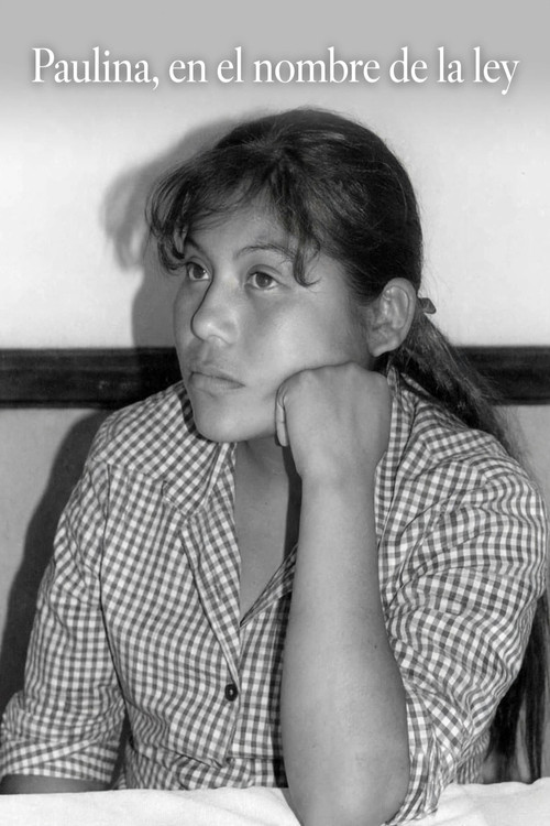 Постер: Paulina en el nombre de la ley