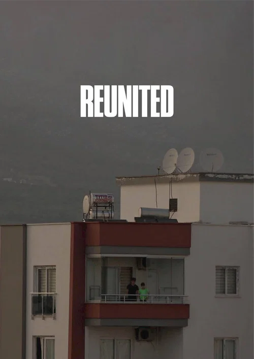 Постер: Reunited