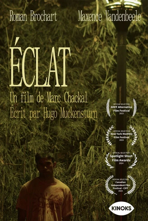 Постер: Éclat