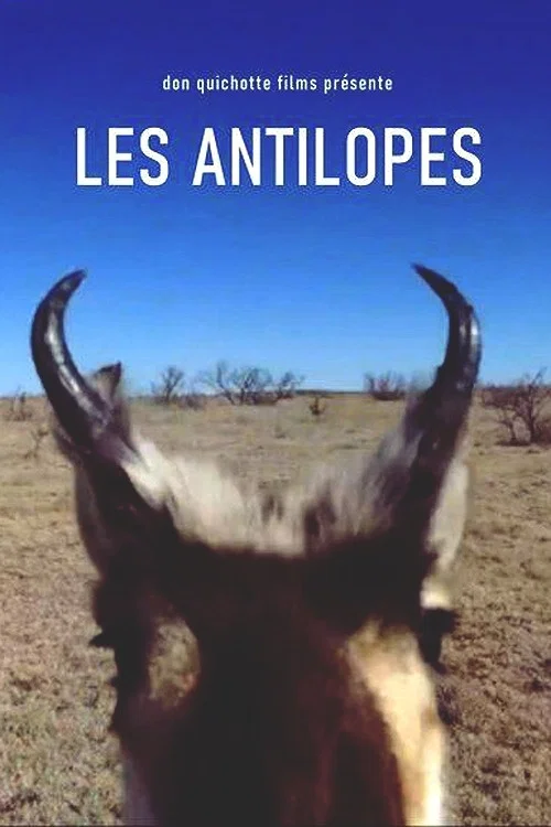 Постер: Les Antilopes