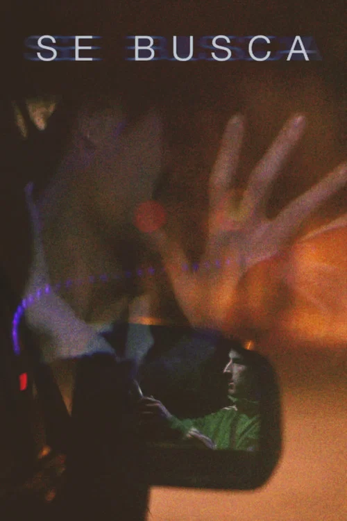 Постер: Wanting