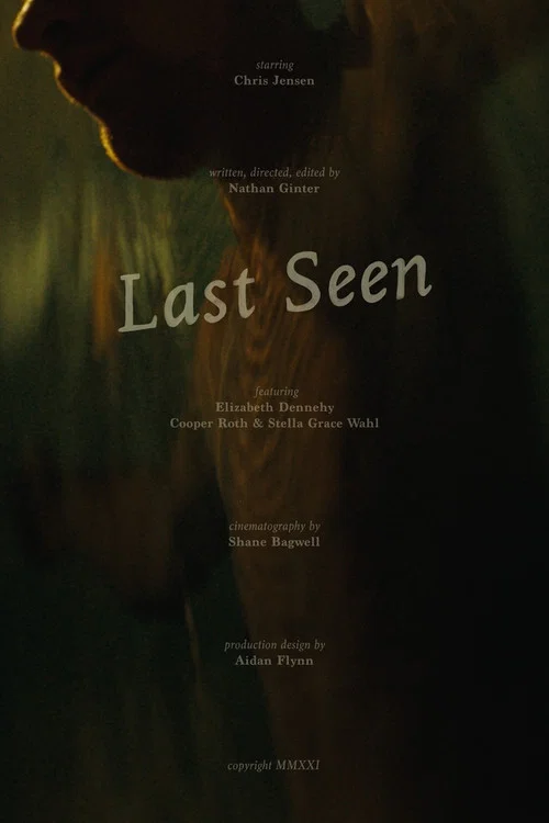 Постер: Last Seen
