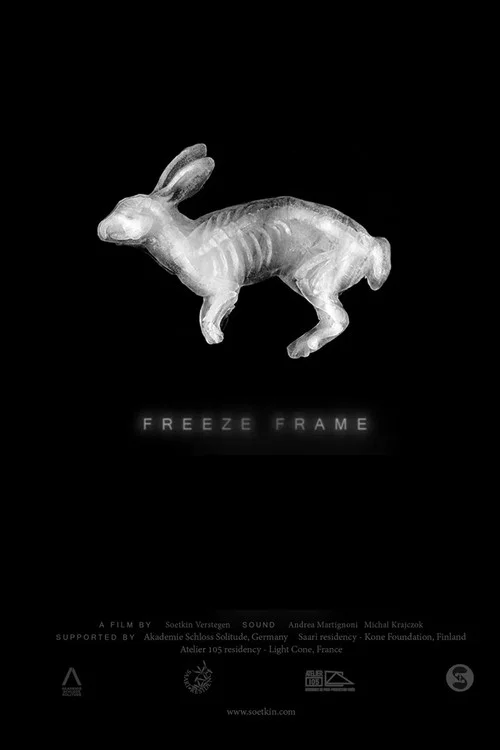 Постер: Freeze Frame