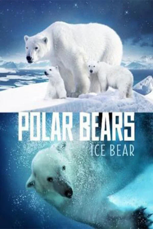 Постер: Polar Bears: Ice Bear
