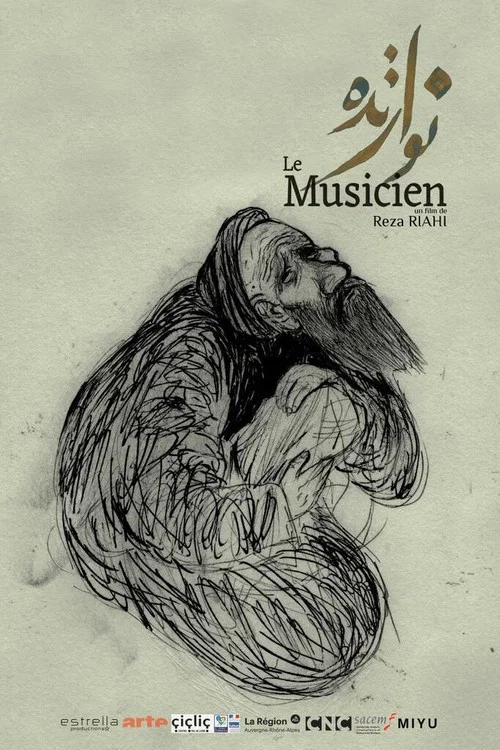 Постер: Navozande, le musicien