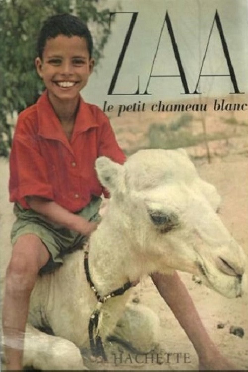 Постер: Zaa, petit chameau blanc