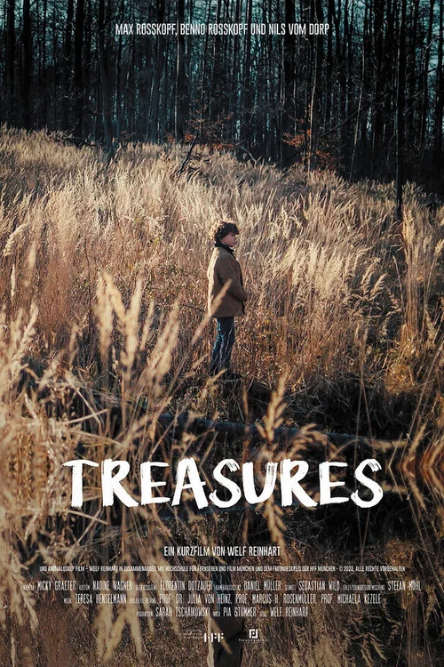 Постер: Treasures
