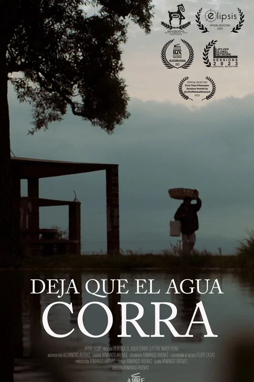 Постер: Deja que el agua corra