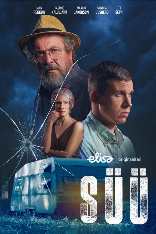 Постер: Süü