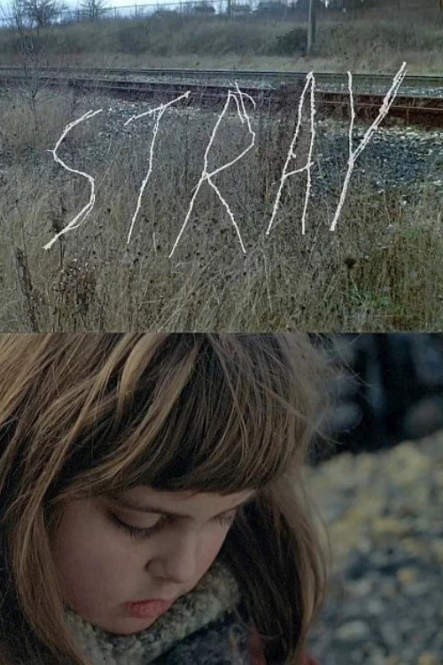 Постер: Stray