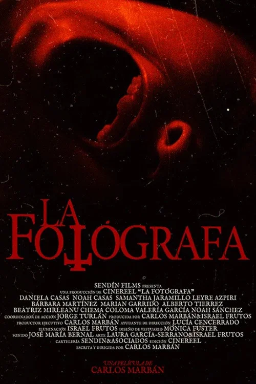 Постер: The Photographer