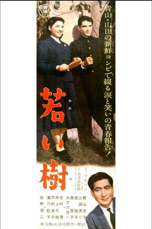 Постер: Wakai ki
