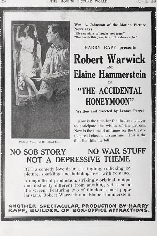 Постер: The Accidental Honeymoon