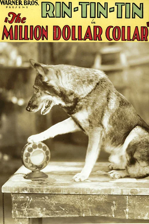 Постер: The Million Dollar Collar