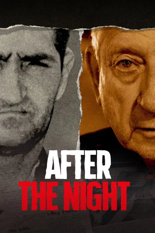 Постер: After the Night