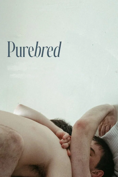 Постер: Purebred