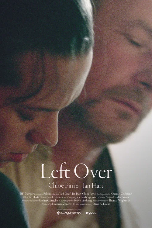 Постер: Left Over