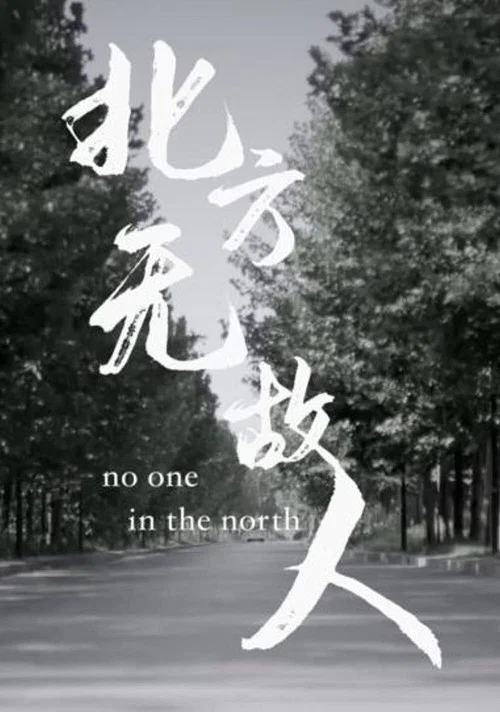 Постер: No One in the North