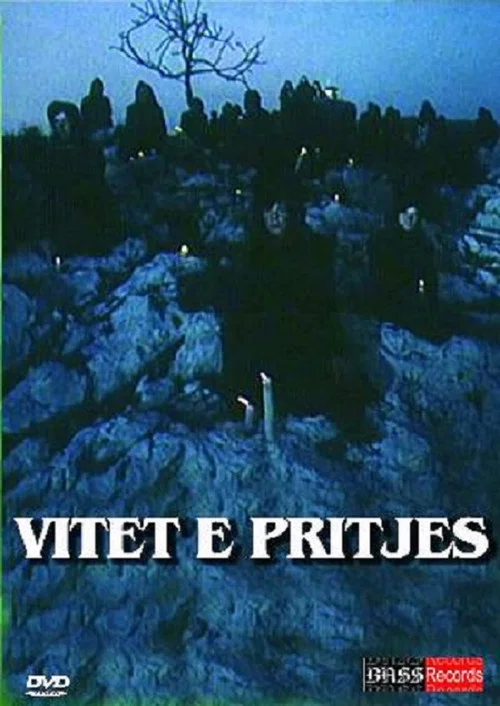 Постер: Vitet e pritjes