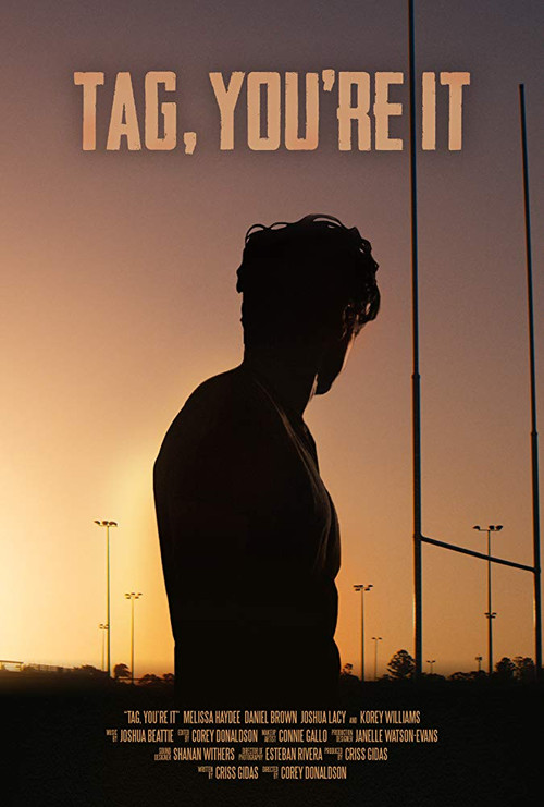 Постер: Tag, You're It