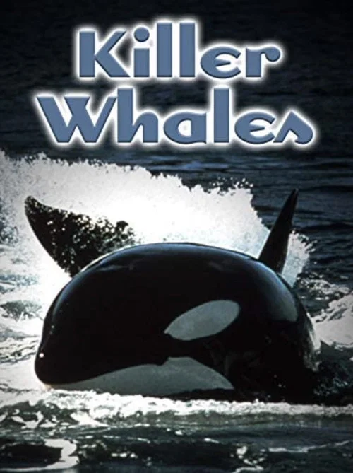 Постер: Killer Whales: Up Close and Personal