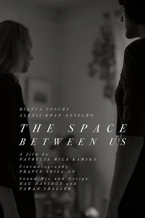 Постер: The Space Between