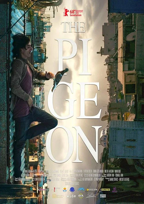 Постер: The Pigeon