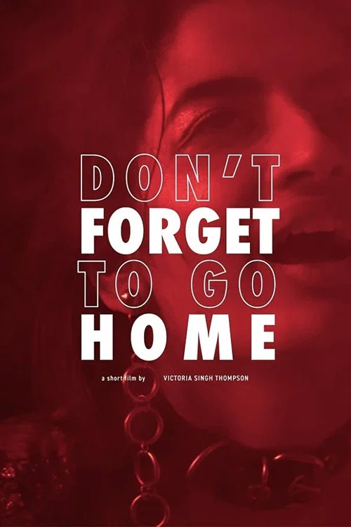 Постер: Don't Forget to Go Home