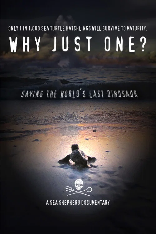 Постер: Why Just One?