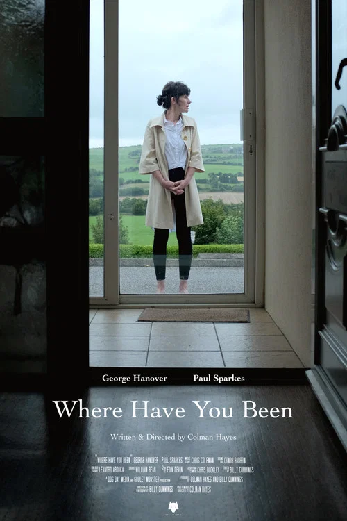 Постер: Where Have You Been