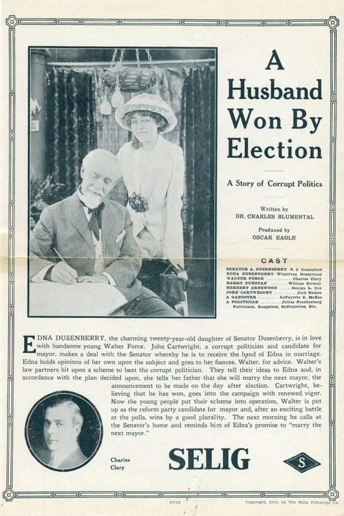 Постер: A Husband Won by Election