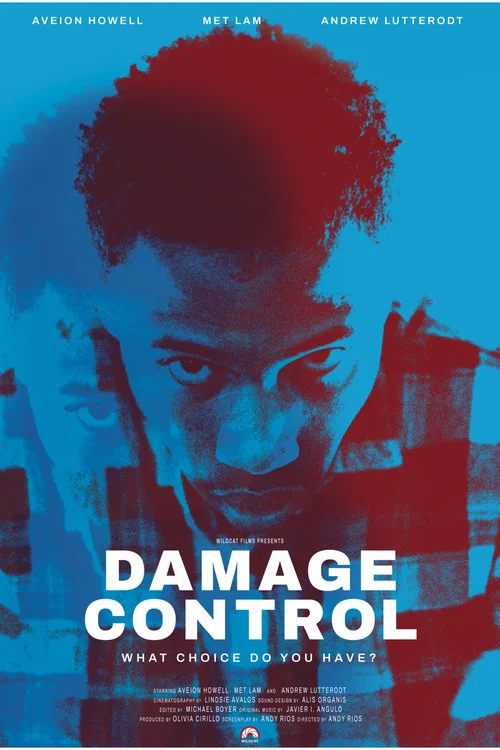 Постер: Damage Control