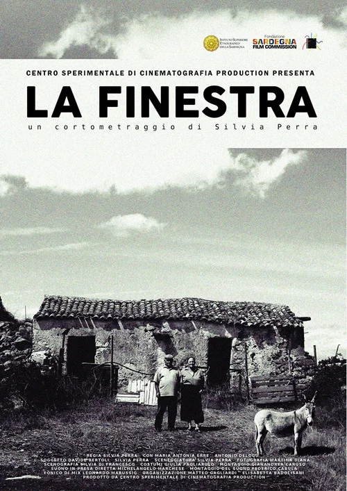 Постер: La finestra