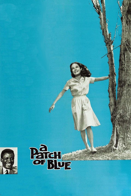 Постер: A patch of blue