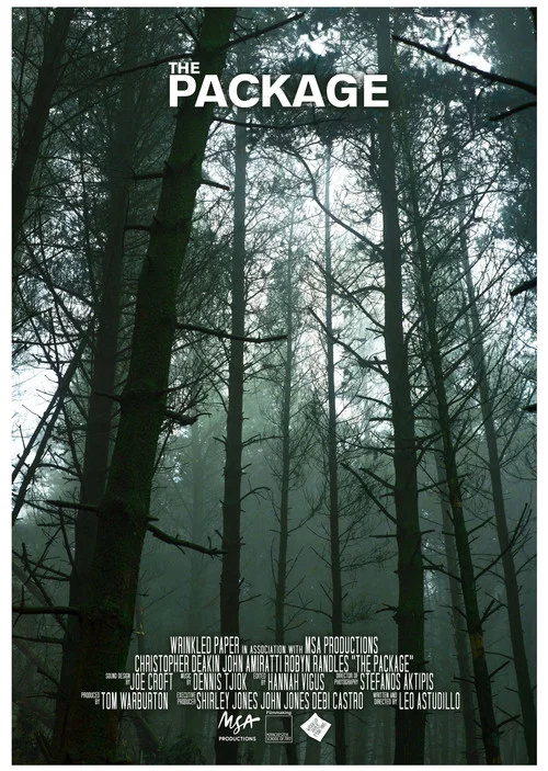 Постер: The Package