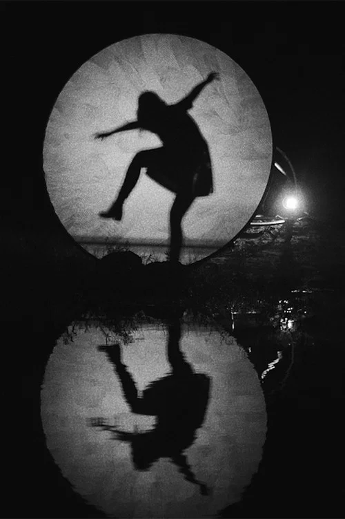 Постер: Shadow Nettes