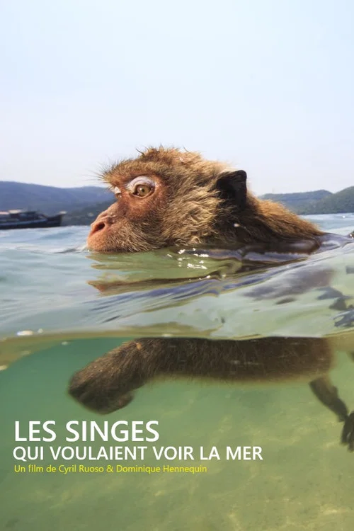 Постер: Les singes qui voulaient voir la mer