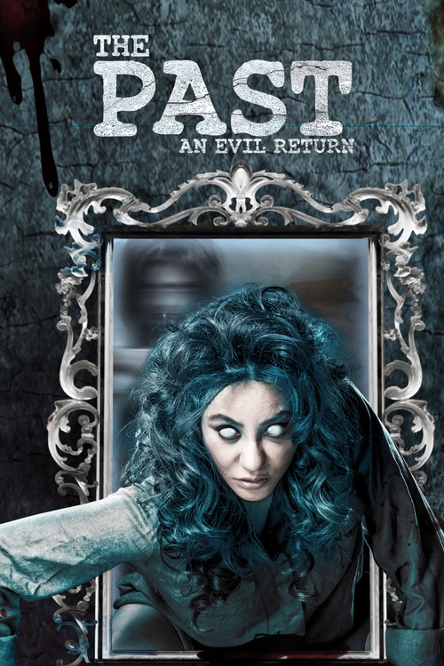 Постер: The Past