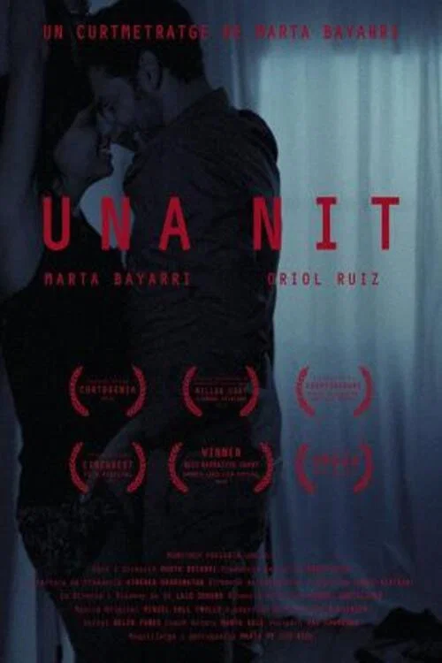 Постер: Una nit