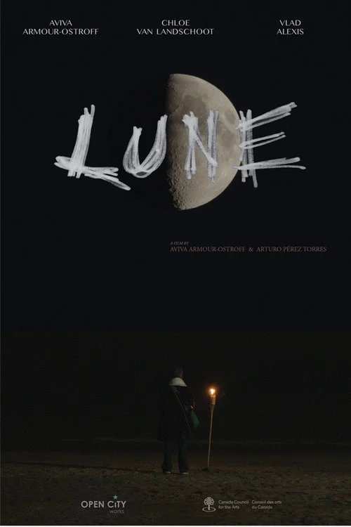 Постер: Lune