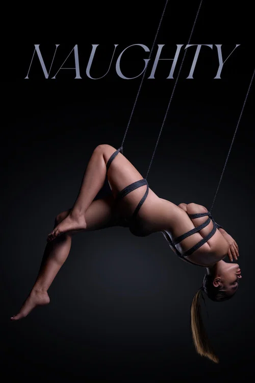 Постер: Naughty