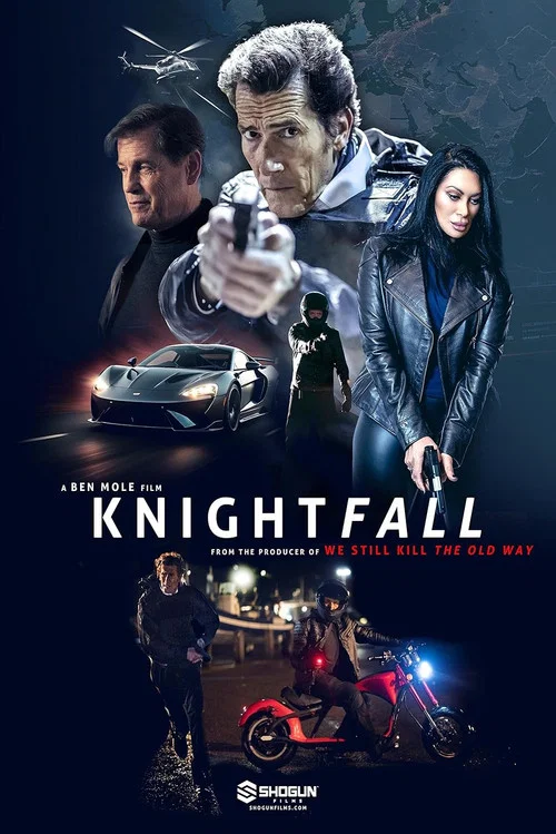 Постер: Knightfall