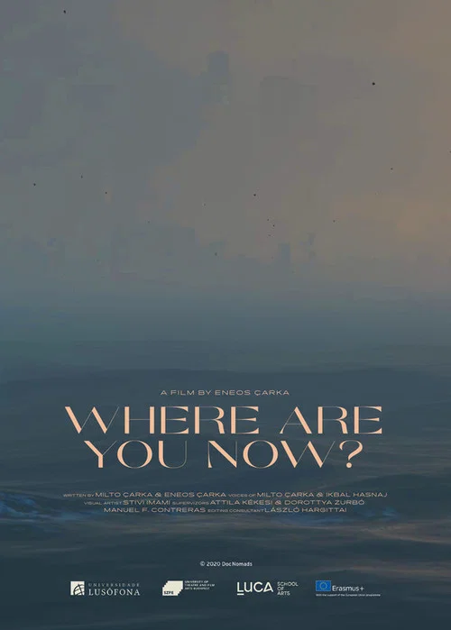 Постер: Where Are You Now