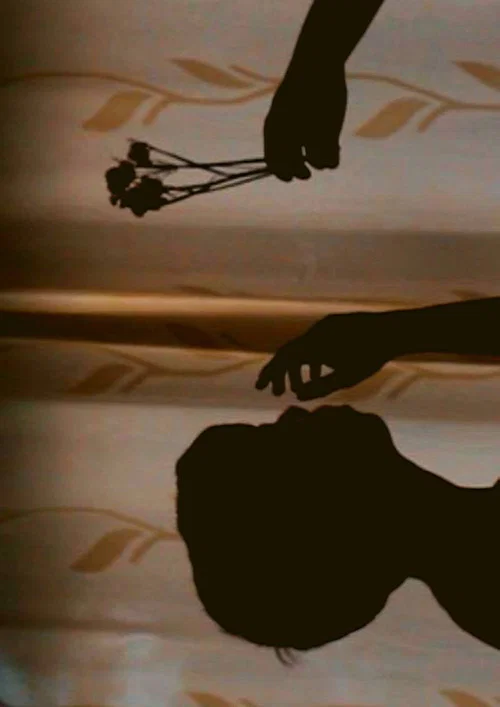 Постер: Amor