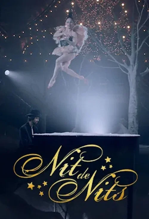 Постер: Nit de nits