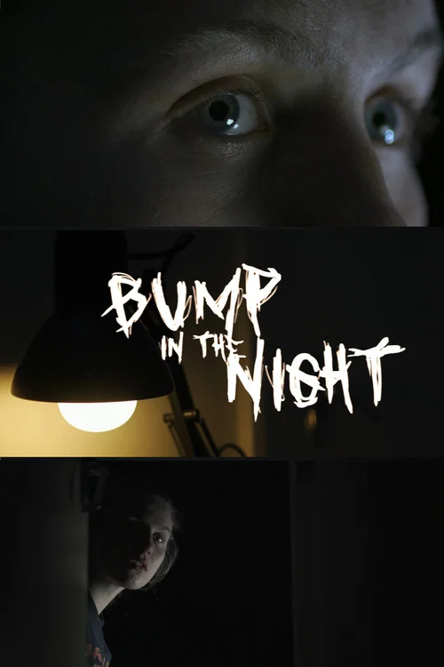 Постер: Bump in the Night
