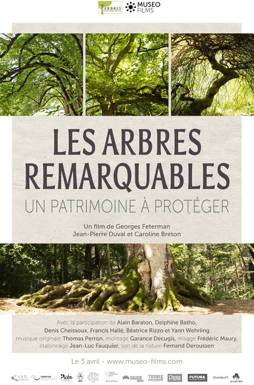Постер: Les arbres remarquables - Un patrimoine à protéger