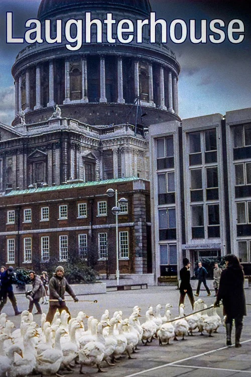 Постер: Дом смеха