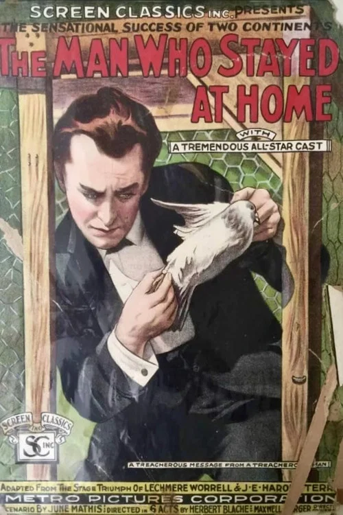 Постер: The Man Who Stayed at Home
