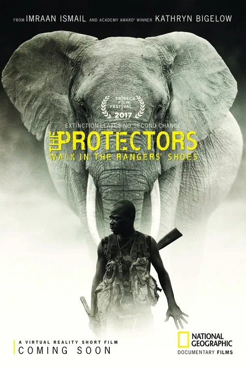 Постер: The Protectors
